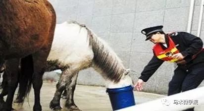 澳门今晚开特马四不像图;警惕虚假宣传-全面贯彻解释落实