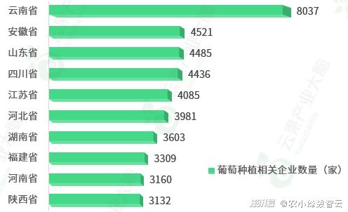 新澳2025最新资料大全;警惕虚假宣传-内容介绍执行