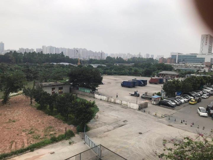 凤阳县最新干部任职