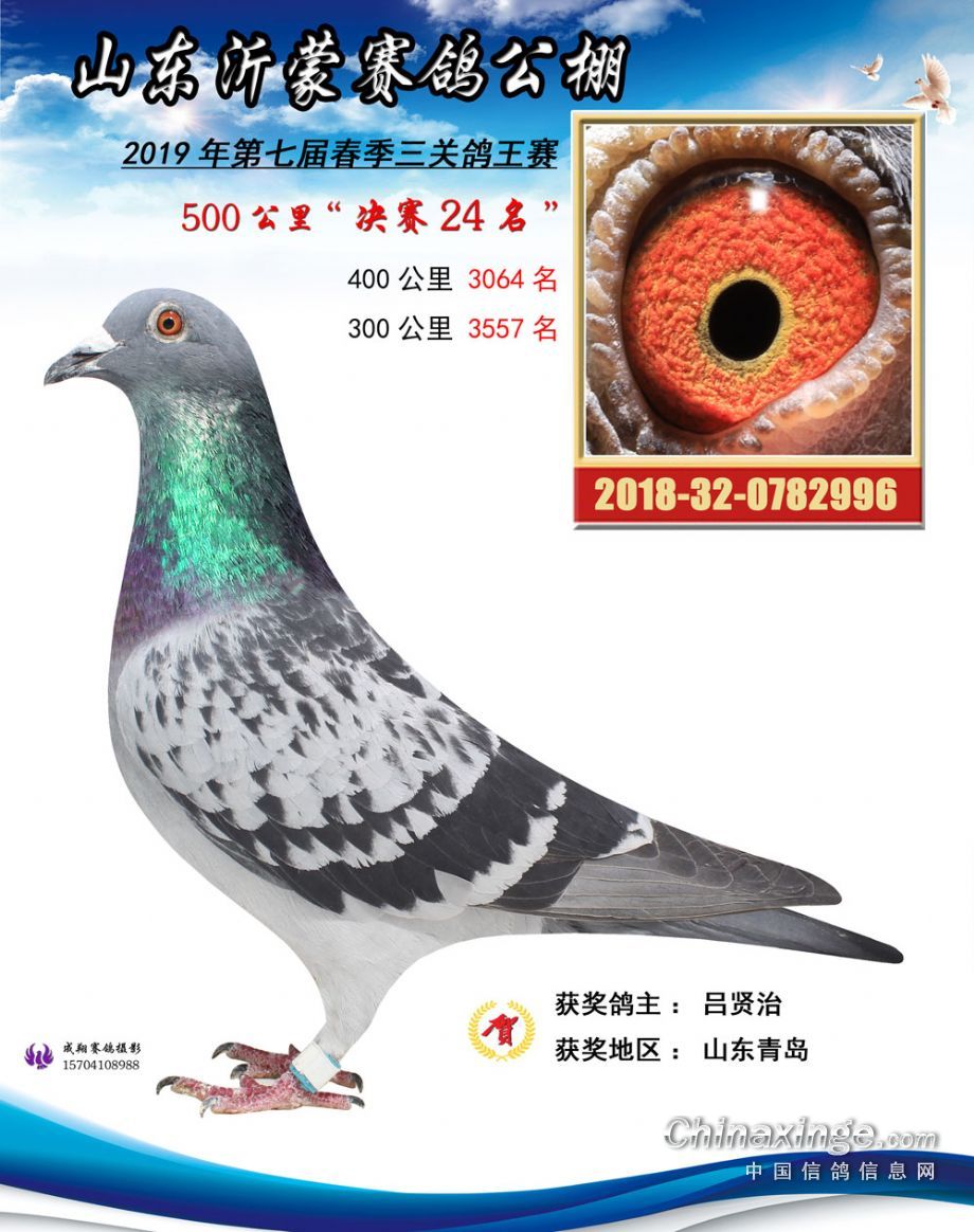 铭桥赛鸽公棚最新公告