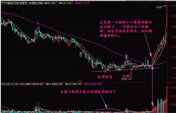 2025澳门特马今晚开什么，精准预测结果，精选资料解释大全