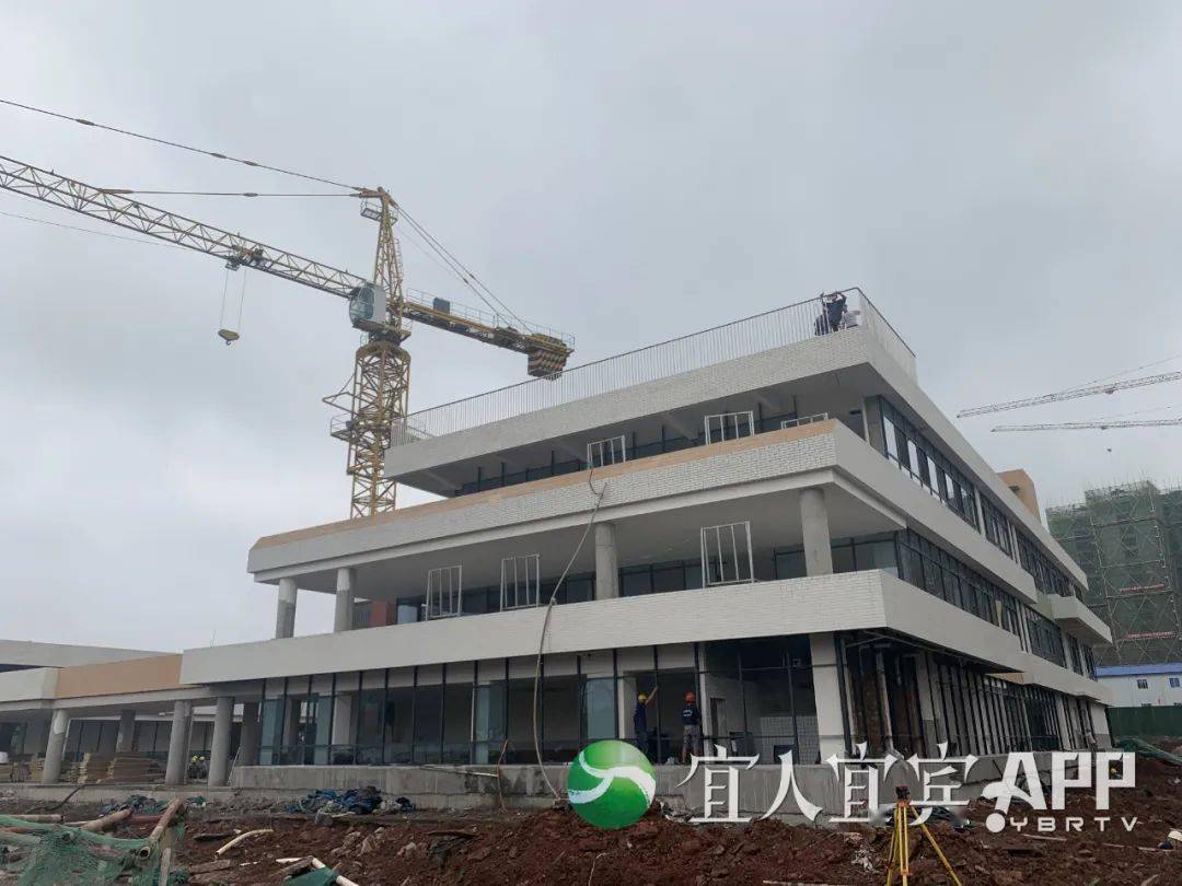 新澳门最精准正最精准龙门，精准预测结果，精选资料解释大全