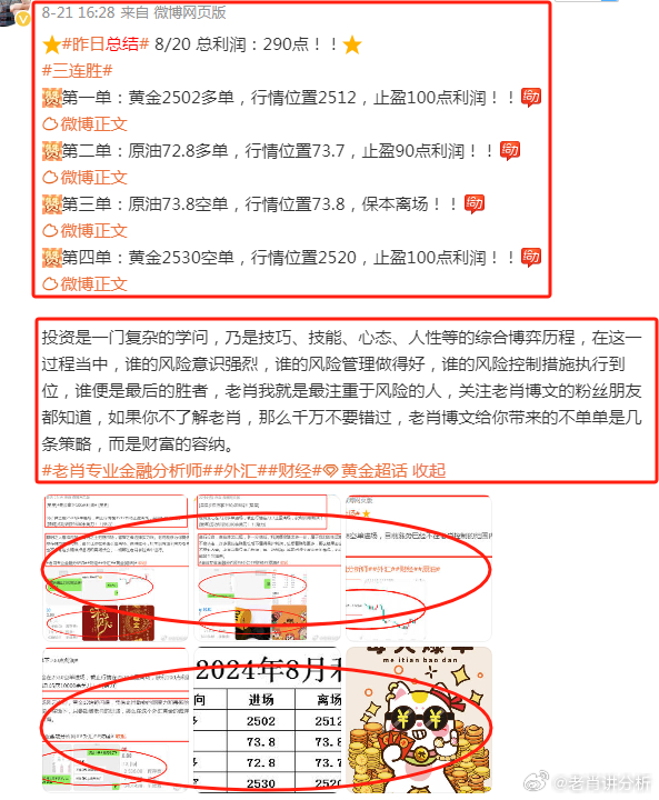 新澳门管家婆一句，精准预测结果，精选资料解释大全