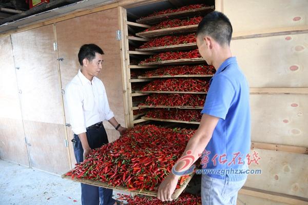 王中王免费资料大全料大全一精准，精准预测结果，精选资料解释大全