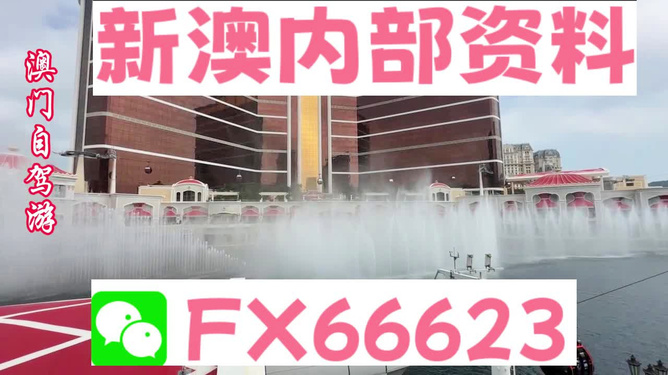新澳内部一码精准公开，精准预测结果，精选资料解释大全