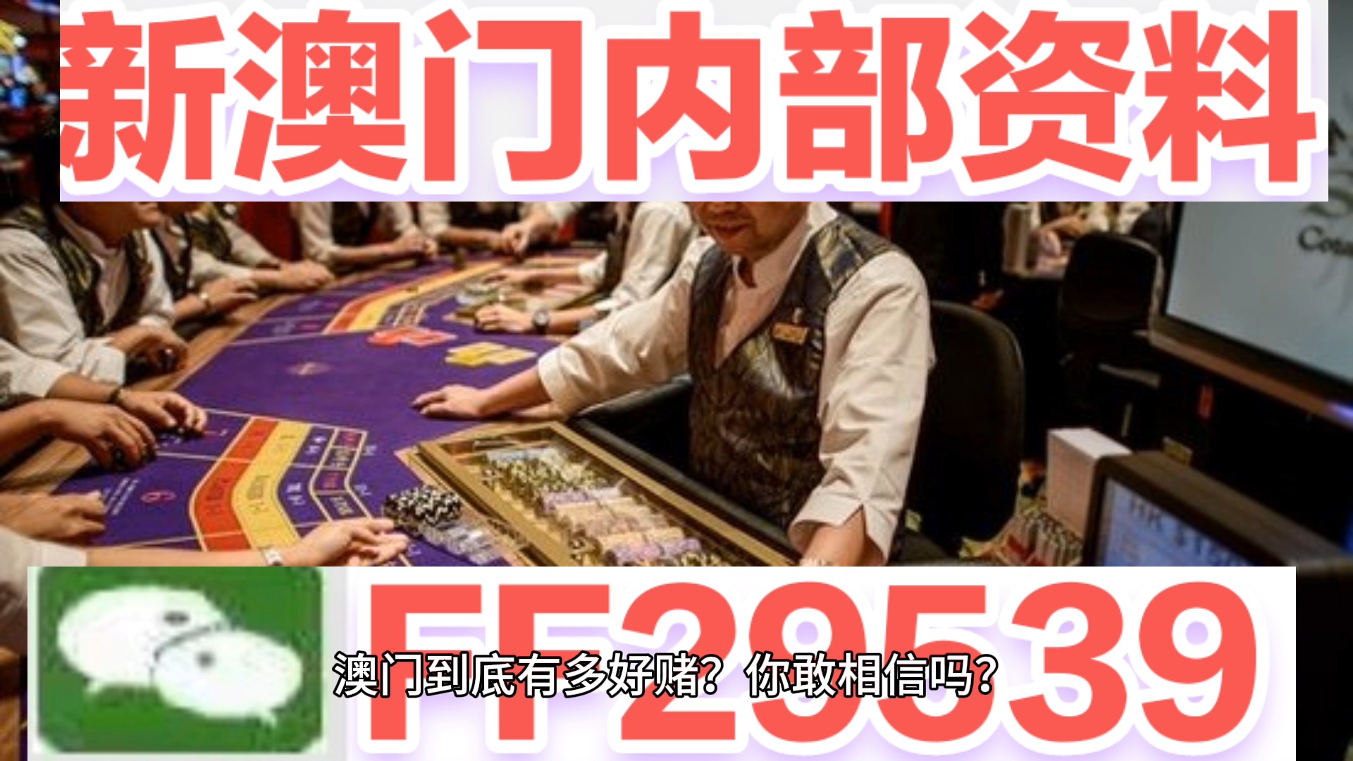 2025今晚澳门特马开什么码，精准预测结果，精选资料解释大全