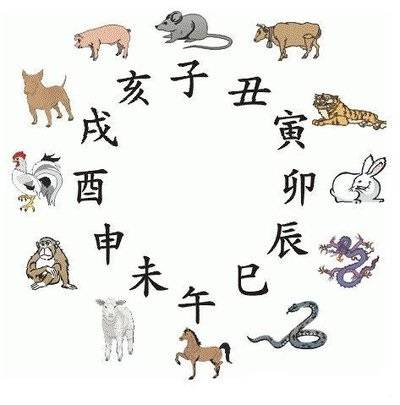 2025今晚开的四不像生肖图，精准预测结果，精选资料解释大全