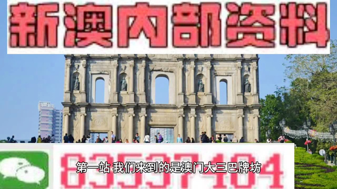 新澳资料正版免费资料，精准预测结果，精选资料解释大全