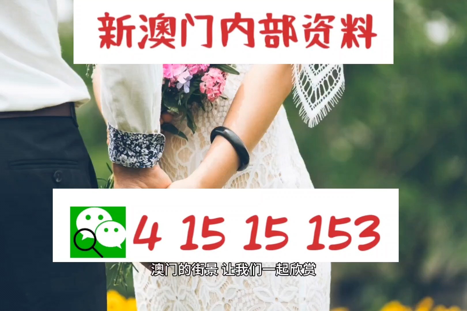 2025新澳正版免费资料，精准预测结果，精选资料解释大全