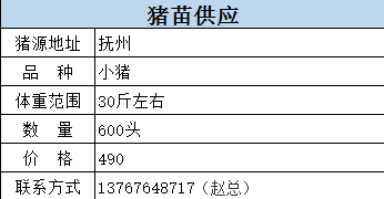 新奥门免费资料大全功能介绍，精准预测结果，精选资料解释大全