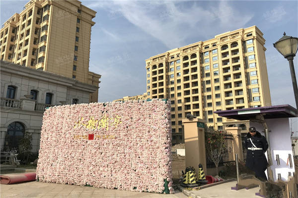 2025年天天开好彩资料，精准预测结果，精选资料解释大全