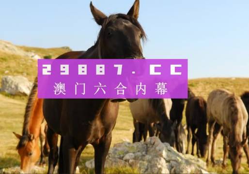 管家婆一肖一码澳门，精准预测结果，精选资料解释大全